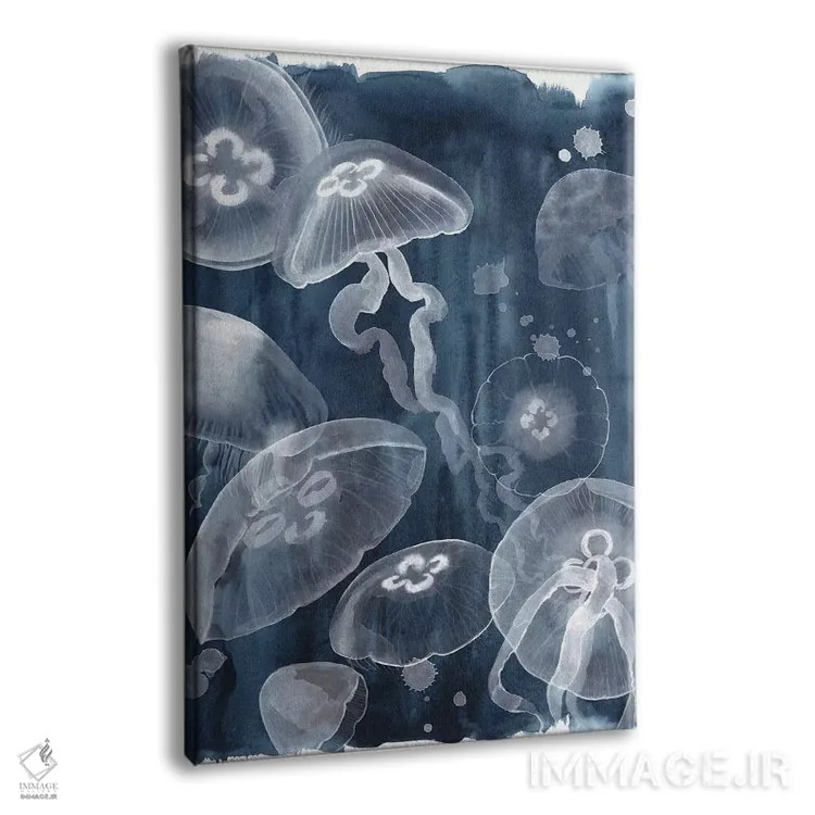 تابلو دکوراتیو عروس دریایی ماه یک اثر گریس پاپ - نمای پرسپکتیو محصول