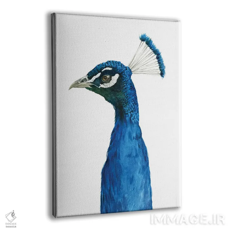 تابلو دکوراتیو پرتره طاووس II اثر گریس پاپ - نمای پرسپکتیو محصول