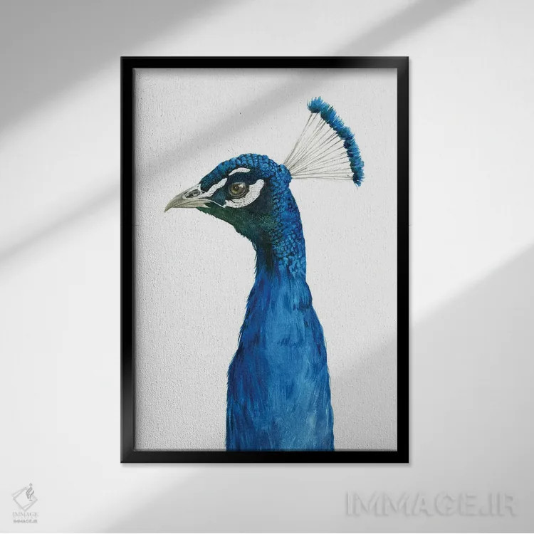 تابلو دکوراتیو پرتره طاووس II اثر گریس پاپ - نمای قابدار مشکی