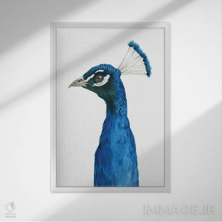 تابلو دکوراتیو پرتره طاووس II اثر گریس پاپ - نمای قابدار سفید