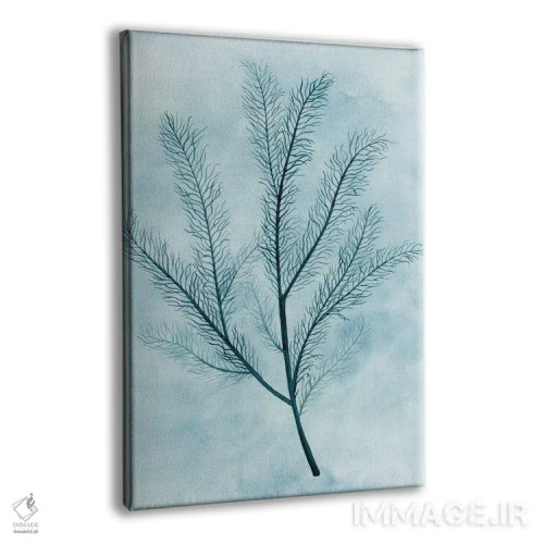 تابلو مینیمال ابرها و مرجان ها II اثر گریس پاپ - نمای پرسپکتیو محصول