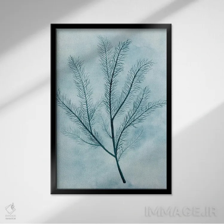 تابلو مینیمال ابرها و مرجان ها II اثر گریس پاپ - نمای قابدار مشکی