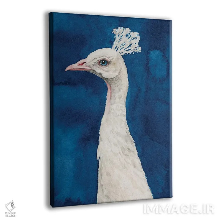 تابلو دکوراتیو طاووس برفی II اثر گریس پاپ - نمای پرسپکتیو محصول