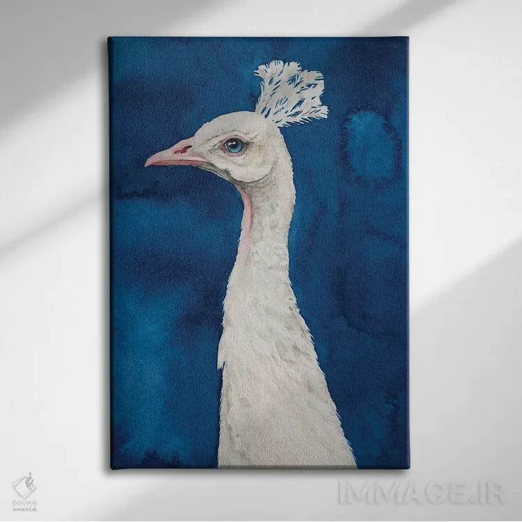 تابلو دکوراتیو طاووس برفی II اثر گریس پاپ - نمای روبهرو روی دیوار