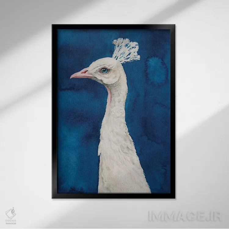 تابلو دکوراتیو طاووس برفی II اثر گریس پاپ - نمای قابدار مشکی