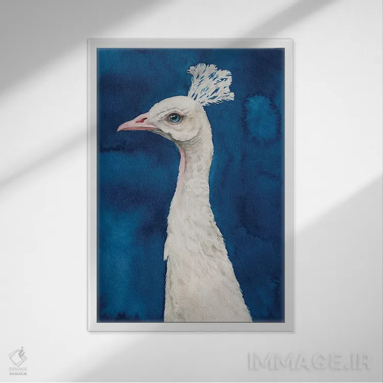 تابلو دکوراتیو طاووس برفی II اثر گریس پاپ - نمای قابدار سفید