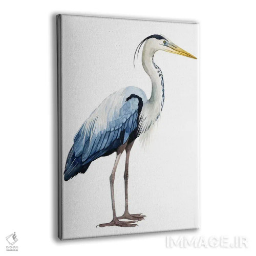 تابلو دکوراتیو حواصیل دریایی II اثر گریس پاپ - نمای پرسپکتیو محصول