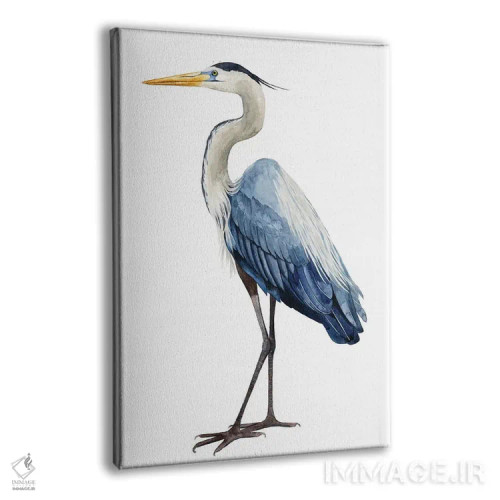 تابلو دکوراتیو حواصیل دریایی I اثر گریس پاپ - نمای پرسپکتیو محصول