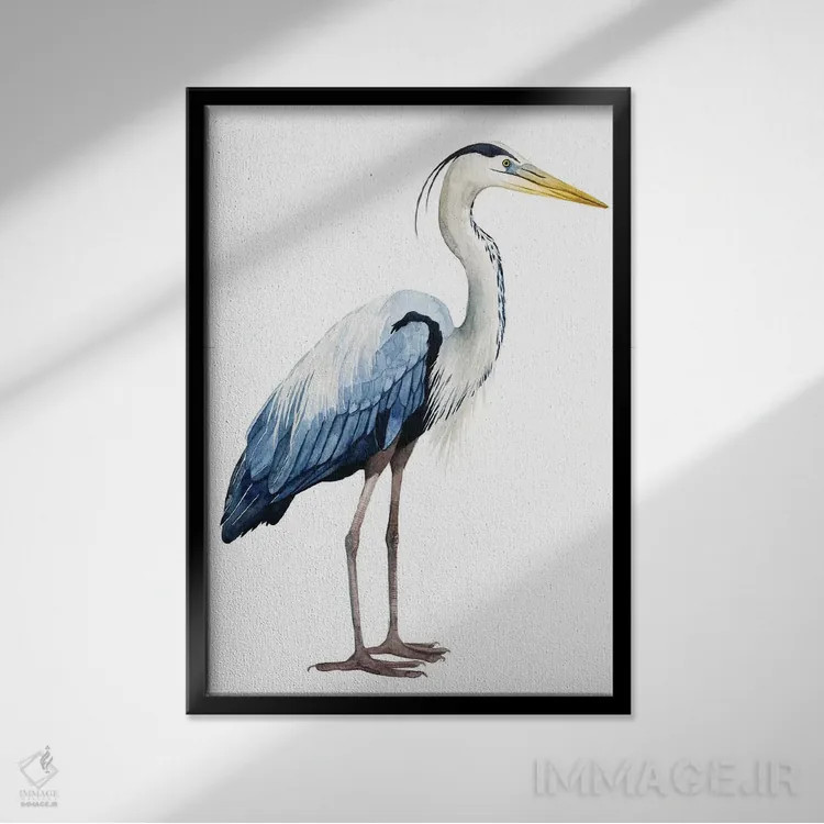 تابلو دکوراتیو حواصیل دریایی II اثر گریس پاپ - نمای قابدار مشکی