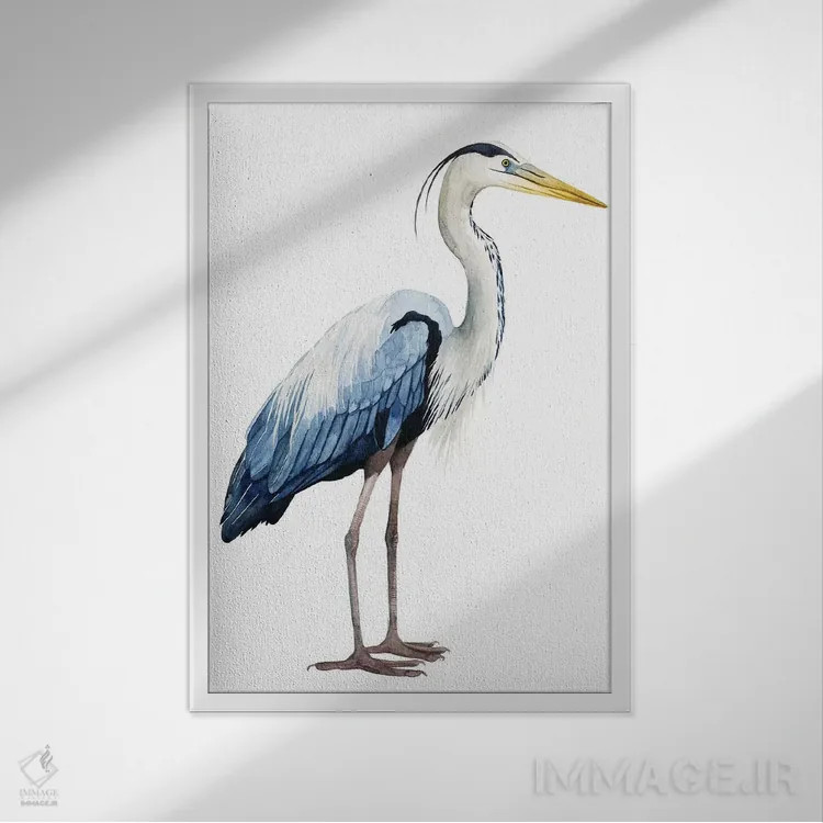 تابلو دکوراتیو حواصیل دریایی II اثر گریس پاپ - نمای قابدار سفید