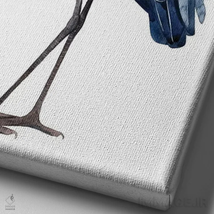 تابلو دکوراتیو حواصیل دریایی I اثر گریس پاپ - نمای نزدیک بافت بوم