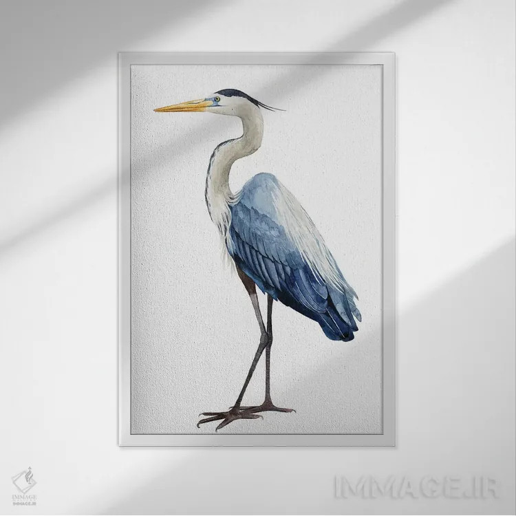 تابلو دکوراتیو حواصیل دریایی I اثر گریس پاپ - نمای قابدار سفید