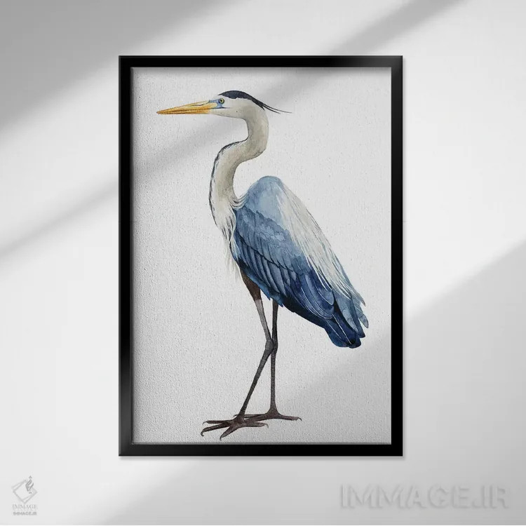 تابلو دکوراتیو حواصیل دریایی I اثر گریس پاپ - نمای قابدار مشکی