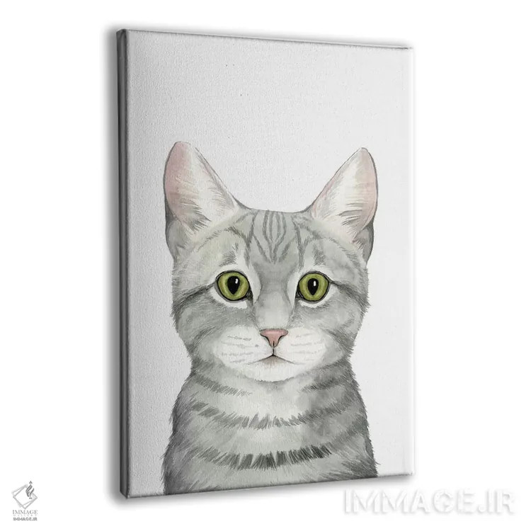 تابلو دکوراتیو پرتره گربه III اثر گریس پاپ - نمای پرسپکتیو محصول