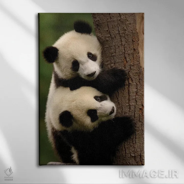 تابلو دکوراتیو Conservation And Research Center For The Giant Panda Within… اثر پیت آکسفورد - نمای روبهرو روی دیوار