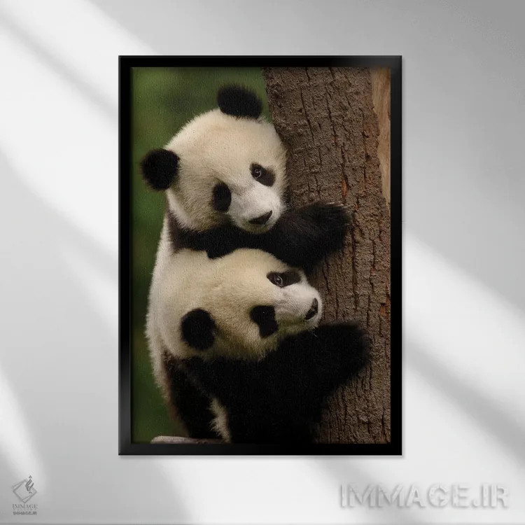 تابلو دکوراتیو Conservation And Research Center For The Giant Panda Within… اثر پیت آکسفورد - نمای قابدار مشکی