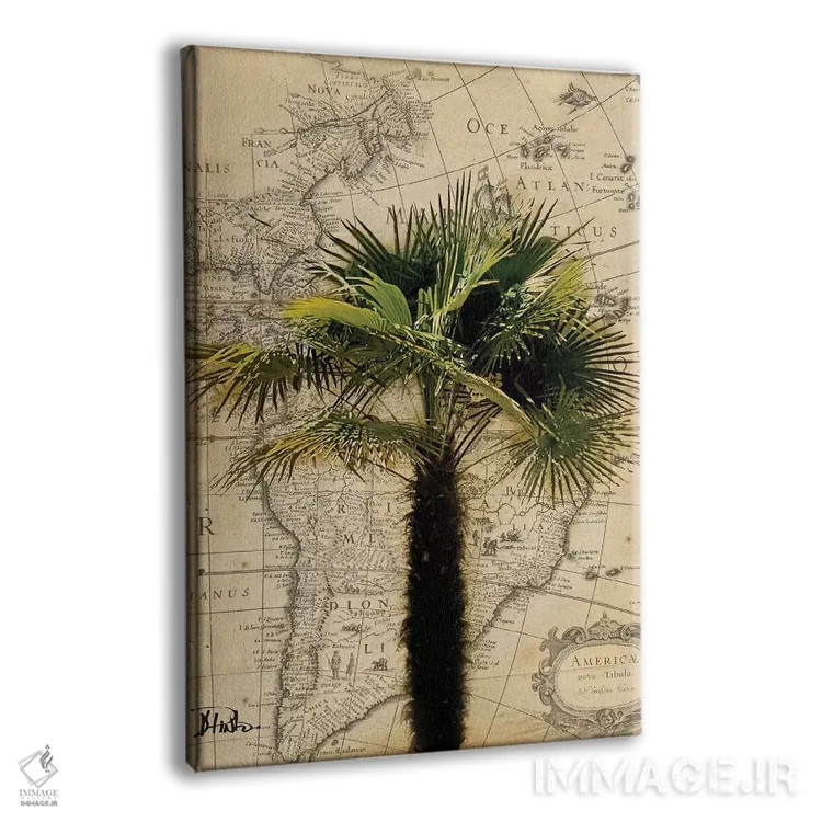 تابلو دکوراتیو آمریکا ۲ اثر پاتریشیا پینتو - نمای پرسپکتیو محصول