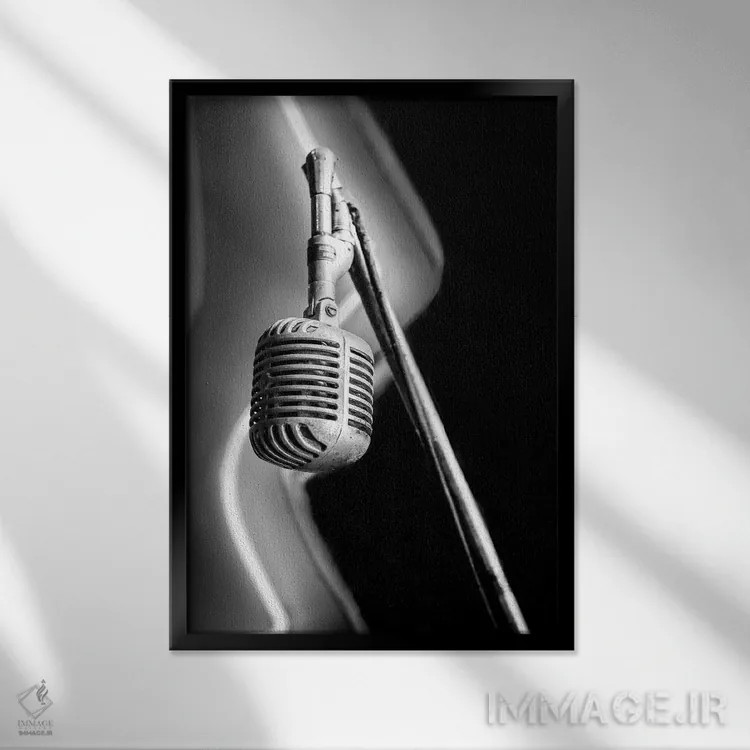 تابلو دکوراتیو آزمایش اثر آپریل رولند - نمای قابدار مشکی