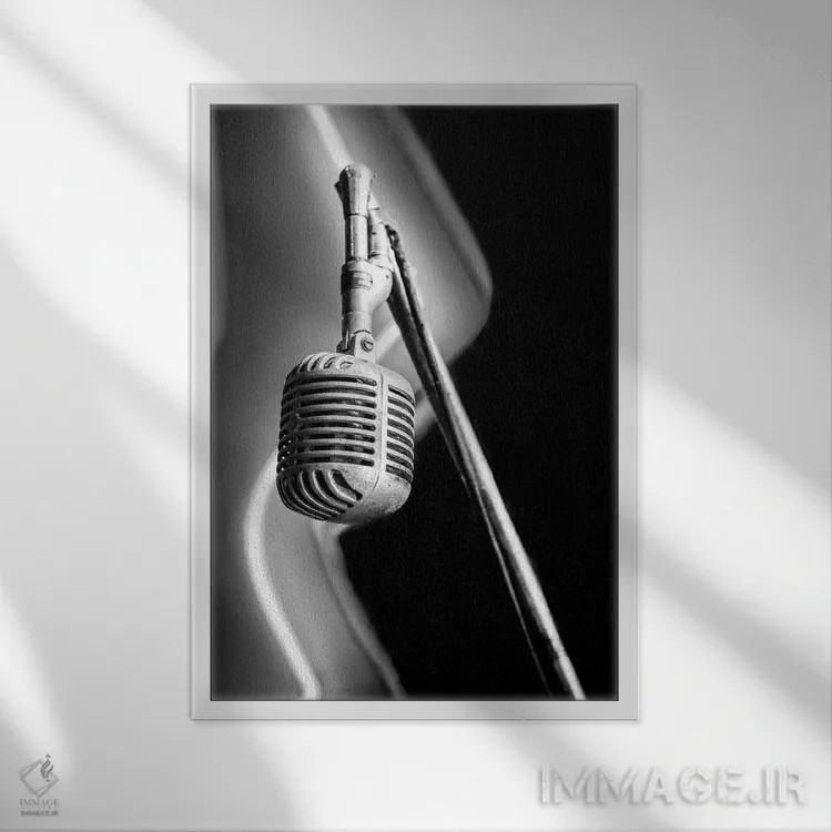 تابلو دکوراتیو آزمایش اثر آپریل رولند - نمای قابدار سفید