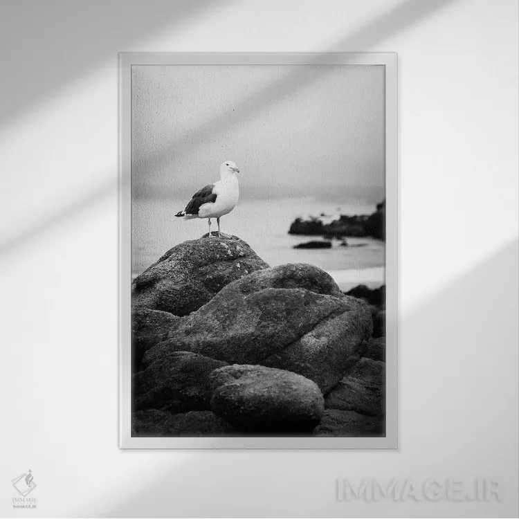 تابلو دکوراتیو نشسته اثر آپریل رولند - نمای قابدار سفید