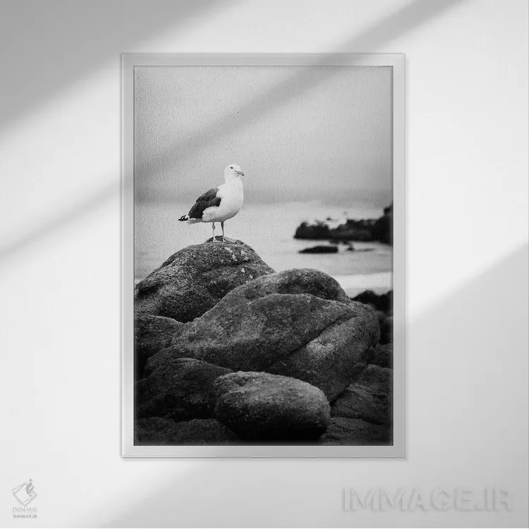 تابلو دکوراتیو نشسته اثر آپریل رولند - نمای قابدار سفید