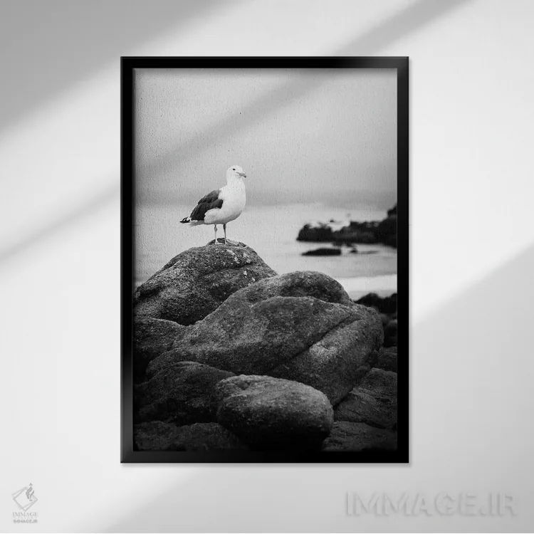 تابلو دکوراتیو نشسته اثر آپریل رولند - نمای قابدار مشکی