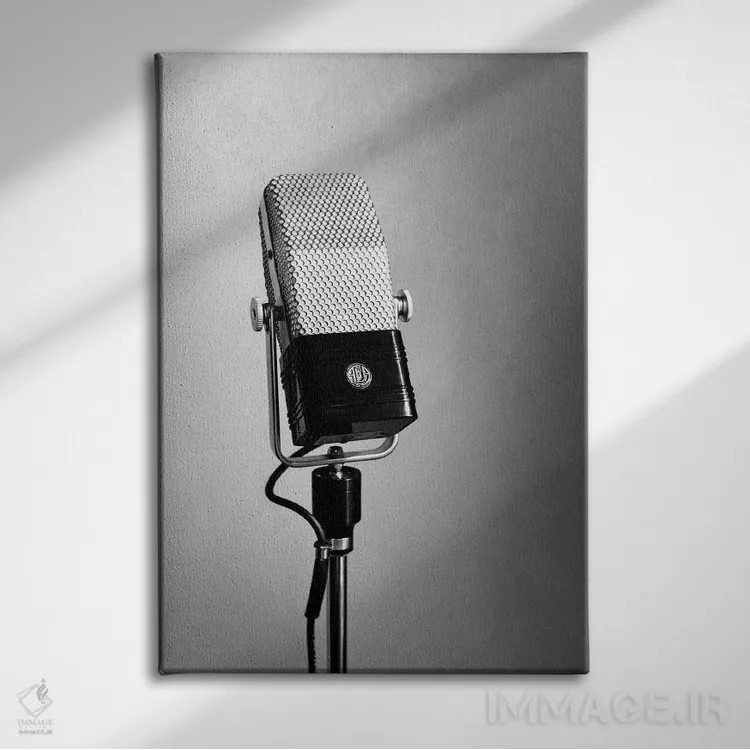 تابلو مینیمال میکروفون نواری اثر آپریل رولند - نمای روبهرو روی دیوار