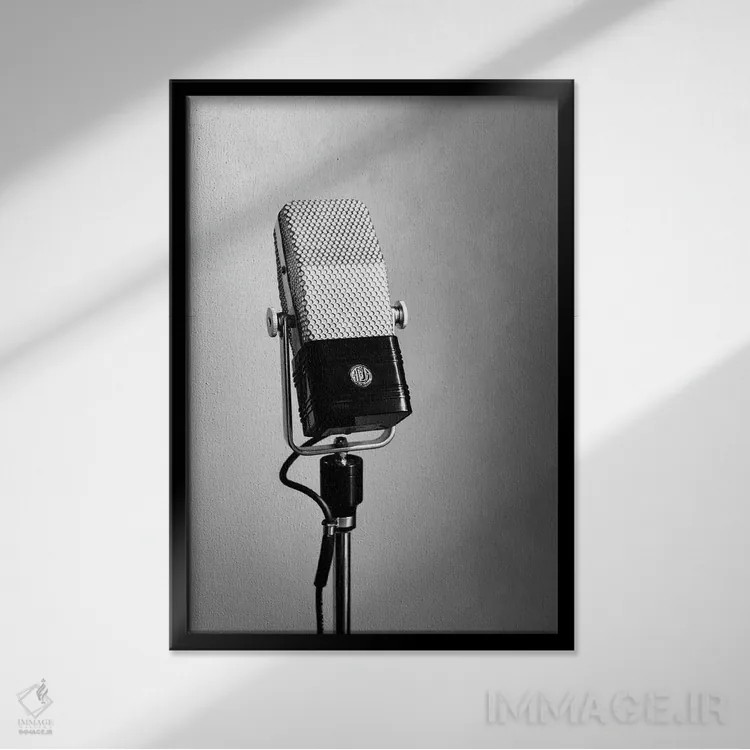تابلو مینیمال میکروفون نواری اثر آپریل رولند - نمای قابدار مشکی