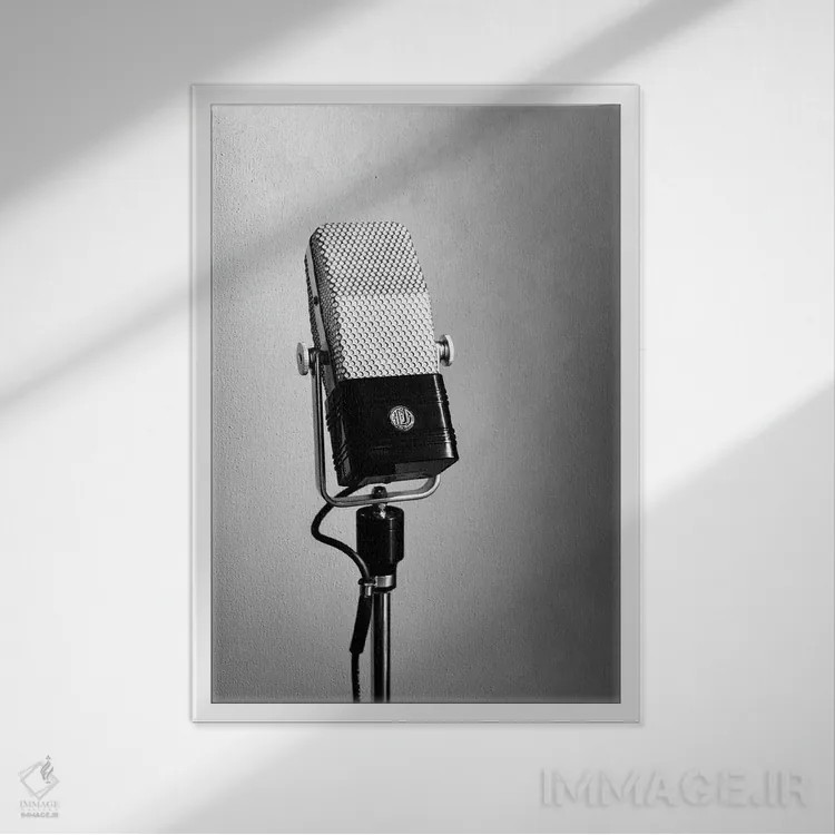 تابلو مینیمال میکروفون نواری اثر آپریل رولند - نمای قابدار سفید