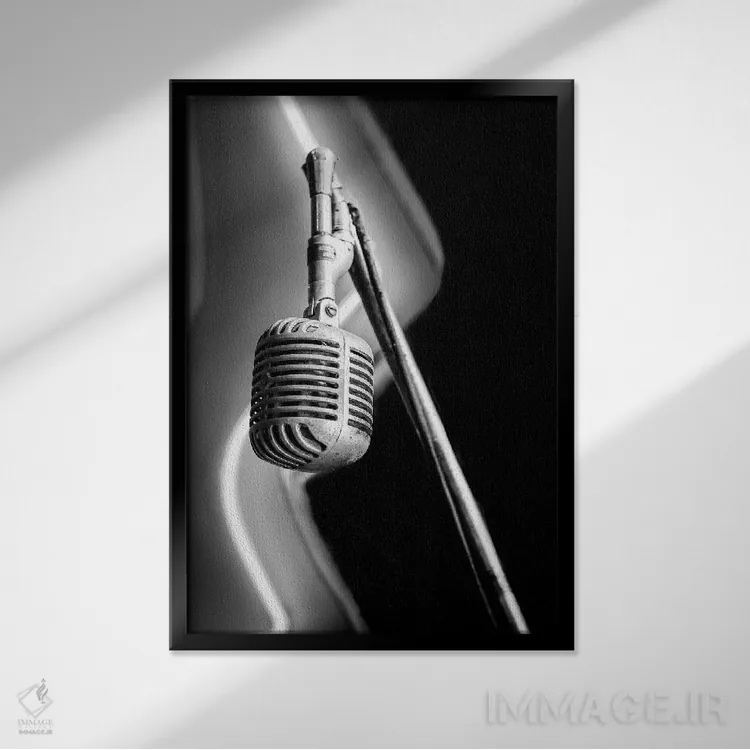 تابلو دکوراتیو تست اثر آپریل رولند - نمای قابدار مشکی