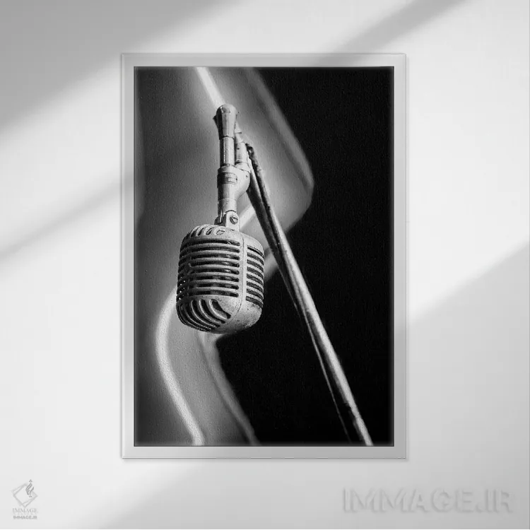 تابلو دکوراتیو تست اثر آپریل رولند - نمای قابدار سفید