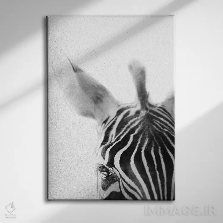 تابلو مینیمال گورخر اثر آپریل رولند - نمای روبهرو روی دیوار