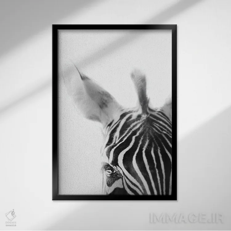 تابلو مینیمال گورخر اثر آپریل رولند - نمای قابدار مشکی