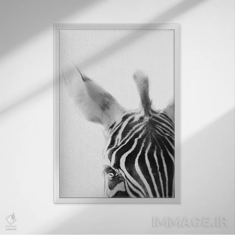 تابلو مینیمال گورخر اثر آپریل رولند - نمای قابدار سفید