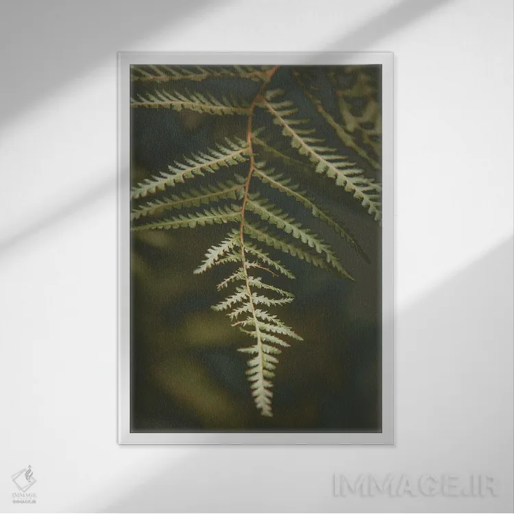 تابلو دکوراتیو سرخس برگ اثر آپریل رولند - نمای قابدار سفید