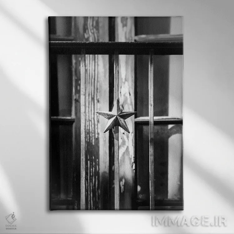 تابلو دکوراتیو ستاره تگزاس اثر آپریل رولند - نمای روبهرو روی دیوار
