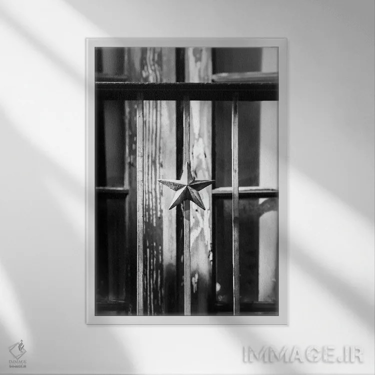 تابلو دکوراتیو ستاره تگزاس اثر آپریل رولند - نمای قابدار سفید