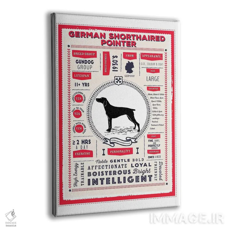 تابلو دکوراتیو اینفوگرافیک سگ ژرمن شورت هیرد پوینتر اثر پیپر پینت پیکسلز - نمای پرسپکتیو محصول