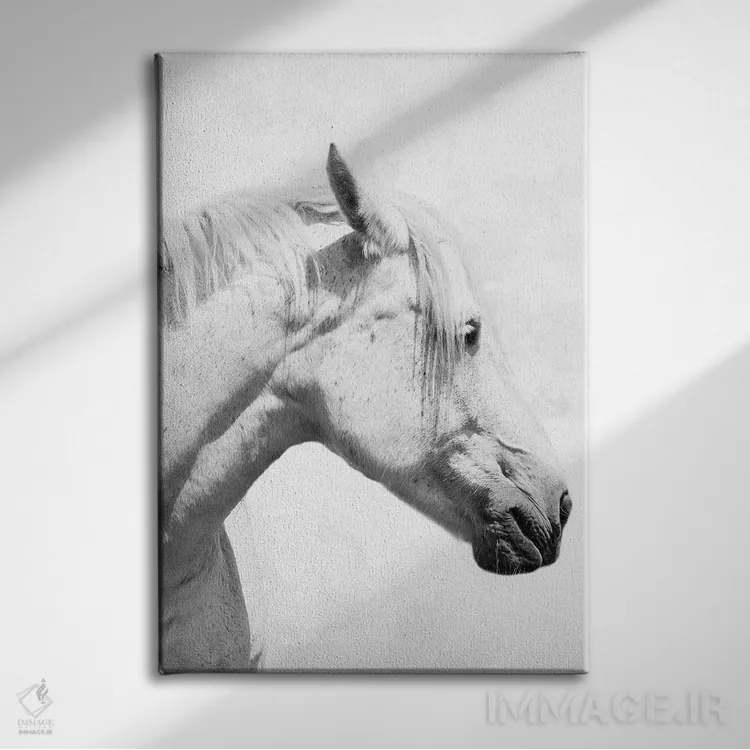 تابلو دکوراتیو اسب دعاگو دو اثر مارکوس پرایم - نمای روبهرو روی دیوار