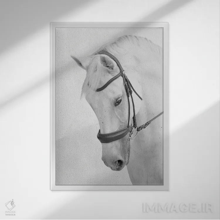 تابلو دکوراتیو اسب دعاگو اثر مارکوس پرایم - نمای قابدار سفید