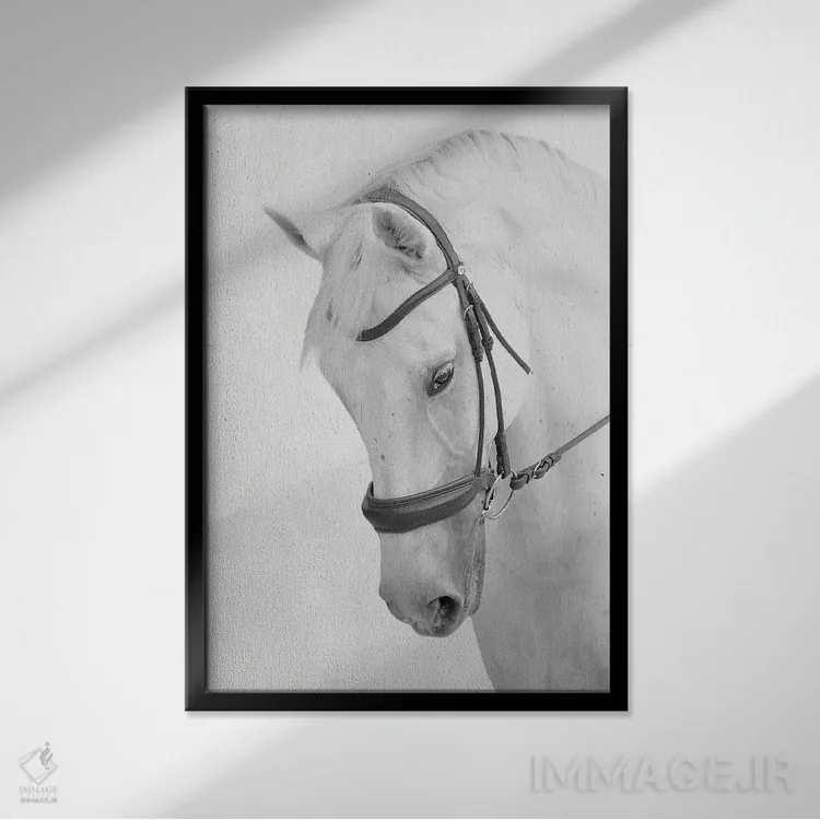 تابلو دکوراتیو اسب دعاگو اثر مارکوس پرایم - نمای قابدار مشکی