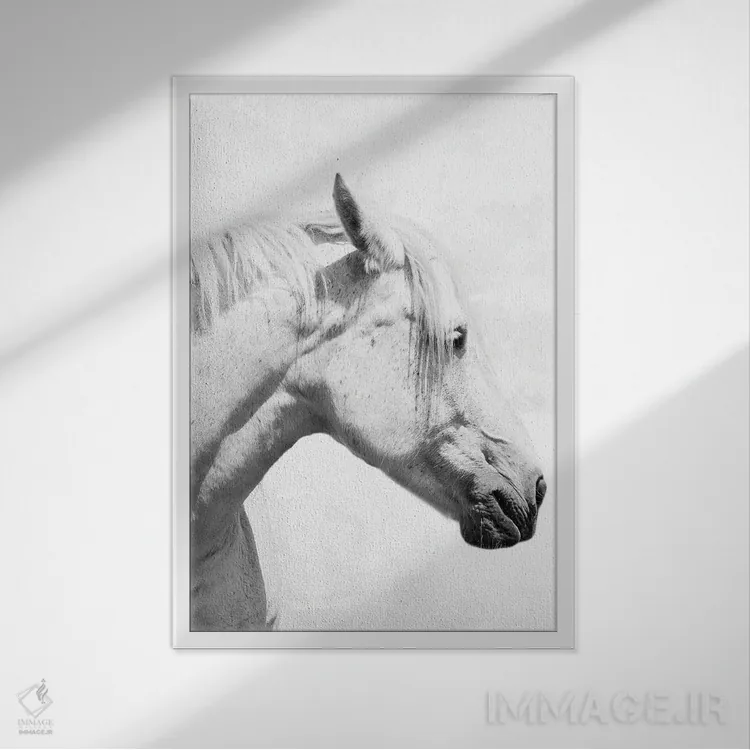 تابلو دکوراتیو اسب دعاگو دو اثر مارکوس پرایم - نمای قابدار سفید