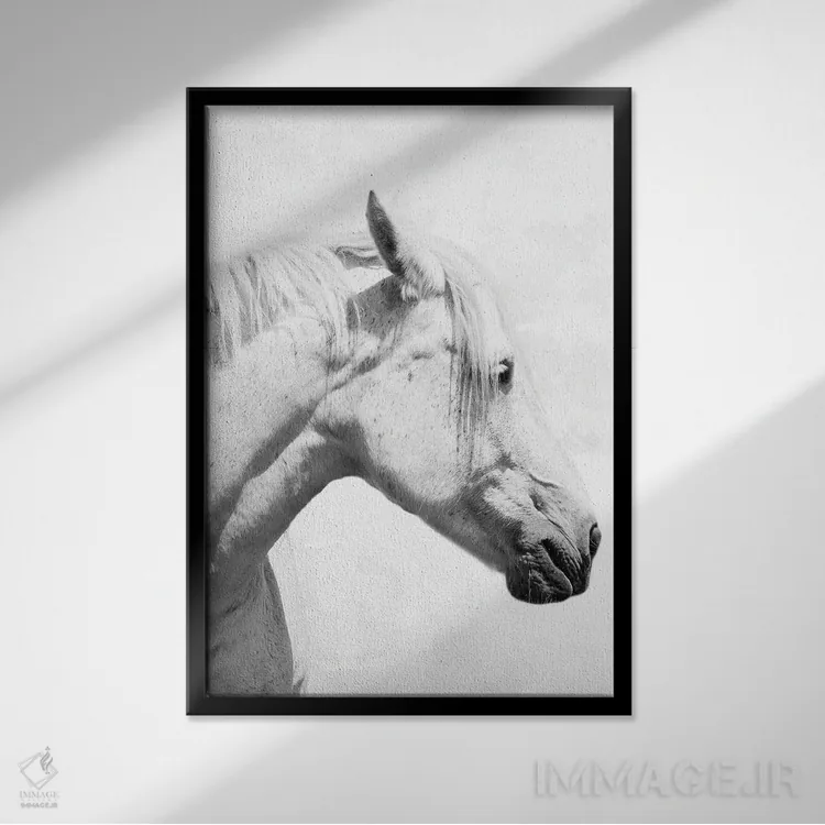 تابلو دکوراتیو اسب دعاگو دو اثر مارکوس پرایم - نمای قابدار مشکی