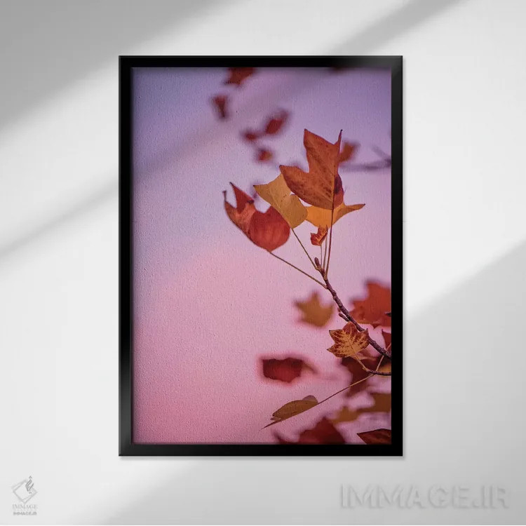 تابلو دکوراتیو جو صورتی اثر فیلیپ سنت-لودی - نمای قابدار مشکی