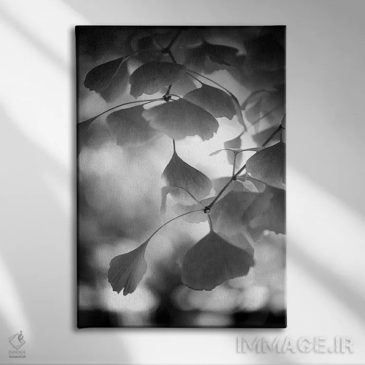 تابلو دکوراتیو شیرینی سیاه اثر فیلیپ سنت-لودی - نمای روبهرو روی دیوار