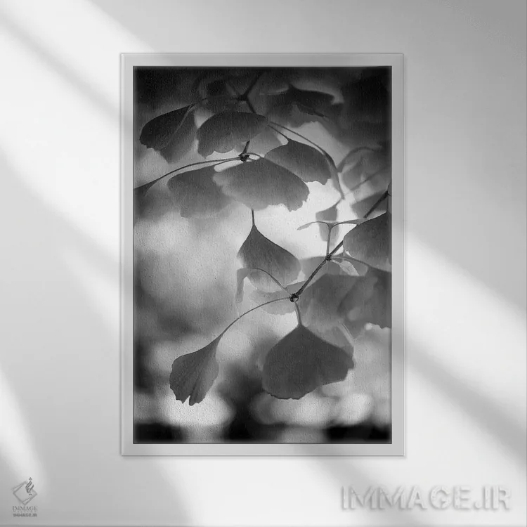 تابلو دکوراتیو شیرینی سیاه اثر فیلیپ سنت-لودی - نمای قابدار سفید