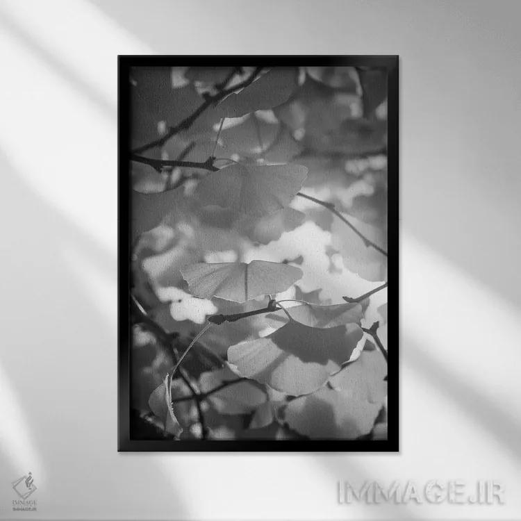 تابلو دکوراتیو اشک های اندوه اثر فیلیپ سنت-لودی - نمای قابدار مشکی