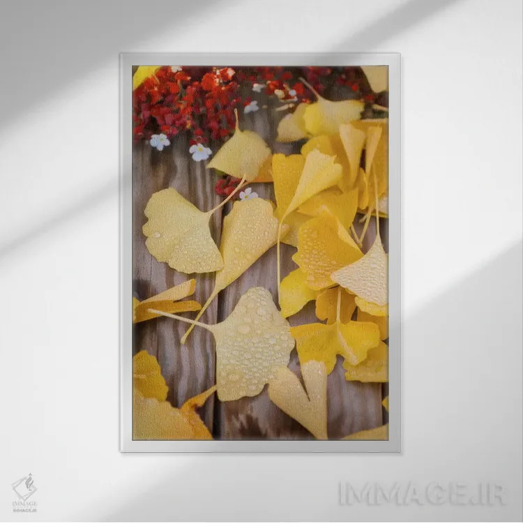 تابلو دکوراتیو ویژه جینکو اثر فیلیپ سنت-لودی - نمای قابدار سفید