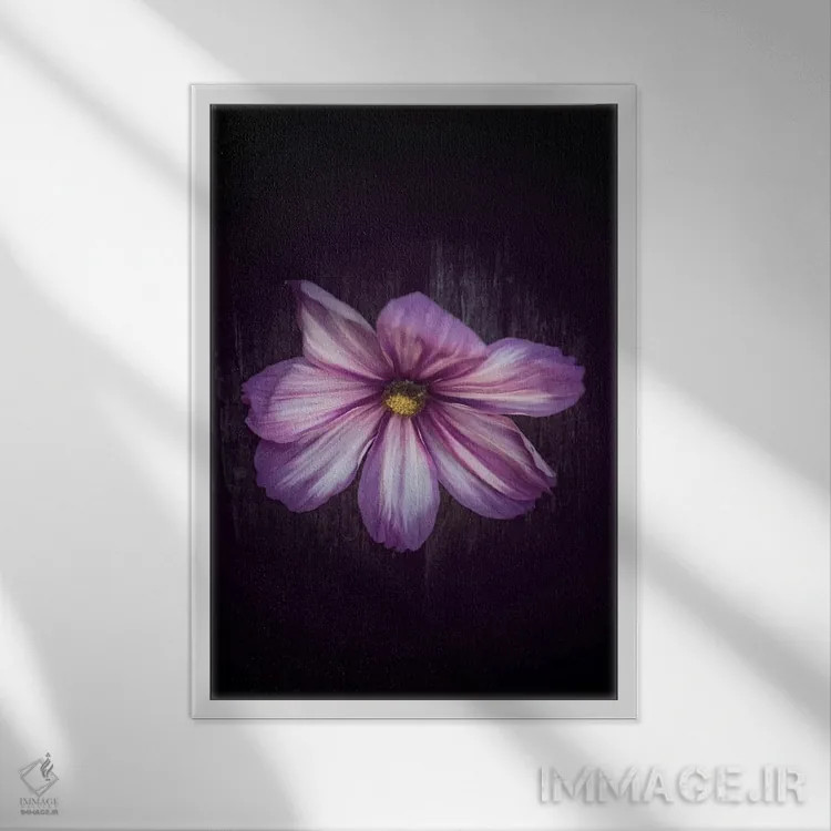تابلو دکوراتیو فروتنانه متعلق به تو اثر فیلیپ سنت-لودی - نمای قابدار سفید
