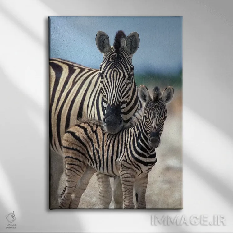 تابلو دکوراتیو Namibia, Etosha National Park,,گله گورخر در تالاب نمکی نزدیک آ… اثر پل سودرز - نمای روبهرو روی دیوار